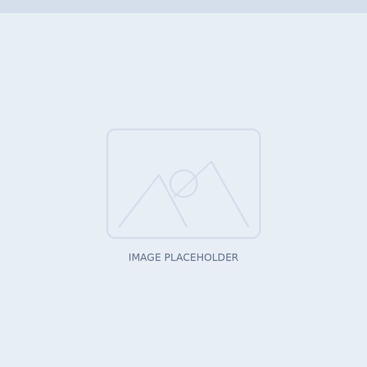 Image placeholder — describe this photo for search engines.